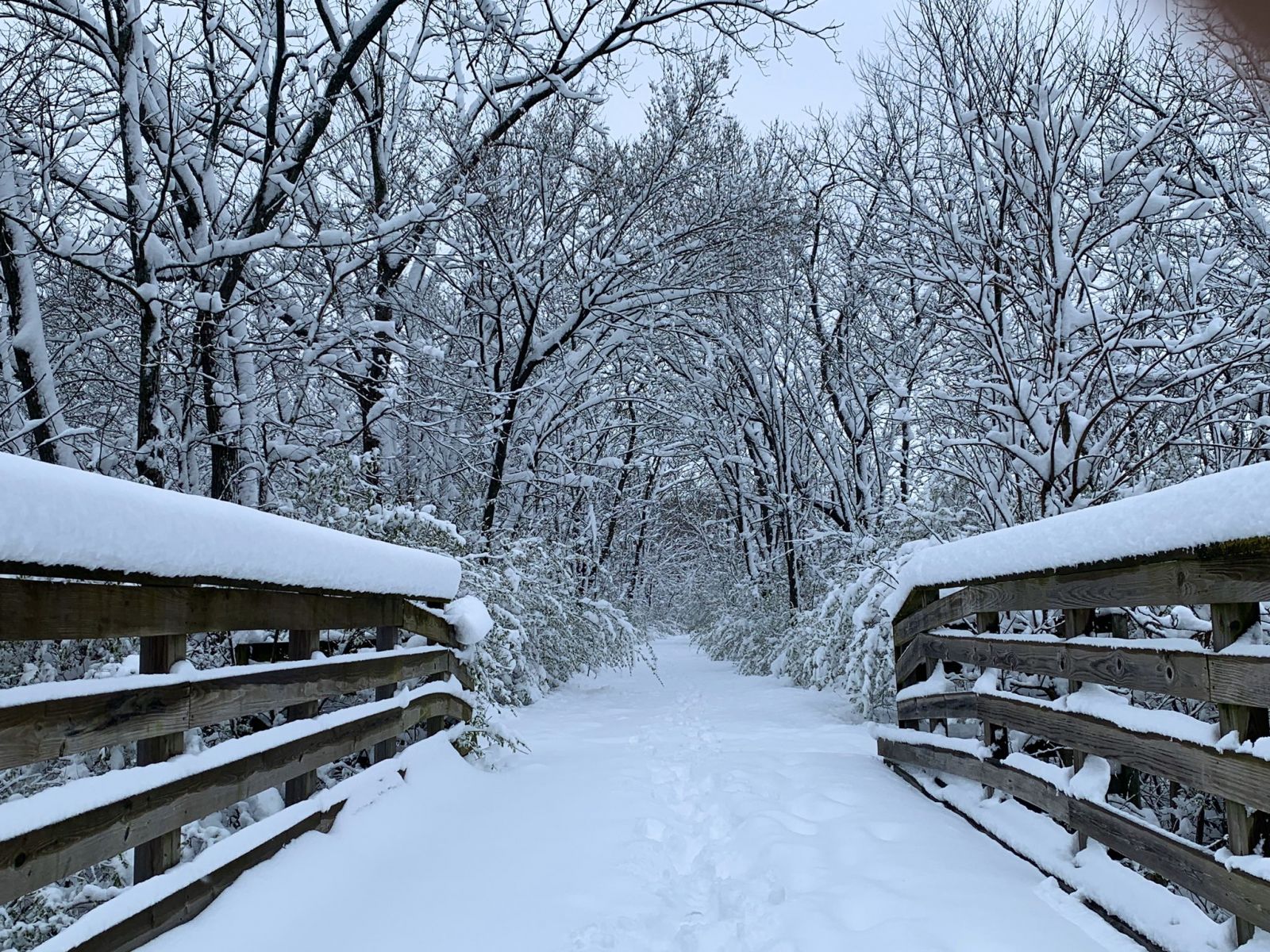 April 1617, 2020 Heavy, Wet Snow Across Central to Southern Iowa